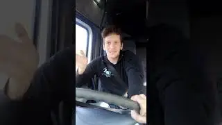 Fahrtenschreiber im Pferdetransport