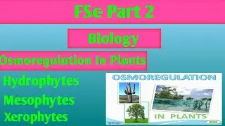 Osmoregulation in plants in Urdu/Hindi 2nd year biology| Hydrophytes,mesophytes,xerophytes FSc part2