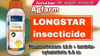 LONGSTAR INSECTICIDE// Agfarm longstanding insecticide #a2farming #longstar #insecticide