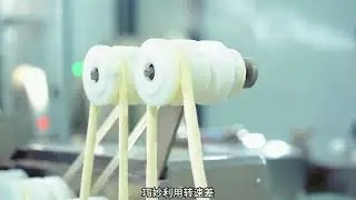 Reman Noodle  Line  working  video