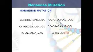 Nonsense mutation