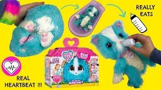 Scruff A Luvs Electronic Mystery Pet! Mystery rescue plush Little Live 35+ Sounds and Interactions