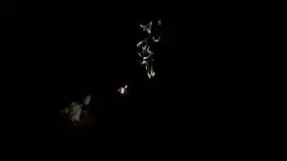 #FiresUnleashedJourney #NatureCinematics #ElementalPower #VisualExploration #BeautyAndFury