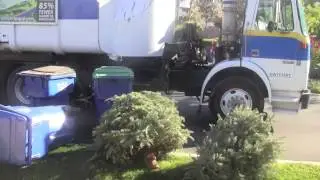 Daily Disposal, Christmas Trees with A Rapid Rail