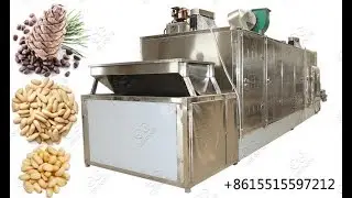 Pine Nut Roasting and Cooling Processing Machine Cost in Pakistan