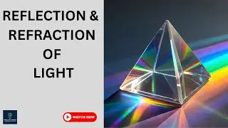 Reflection & Refraction of Light Explained Simply | TIR, Critical Angle, Plane Mirrors & More!