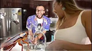 Cockroach PRANK on my Girlfriend and she *HATES BUGS!*