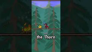 The ENTIRE Terraria Boomerang Class Experience in 60 Seconds