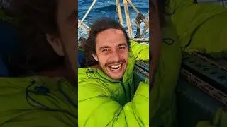 Большие волны и дельфины #sailtale #sailing #яхты
