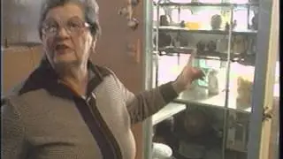 Self Cleaning House