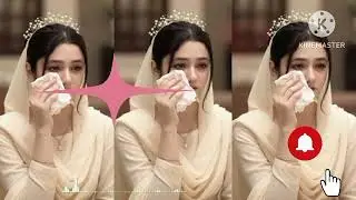 Rohingya bewafa girl tarana singer Rashel contact number 01401032905