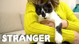 Uni and Nami meet a stranger | Catz Club