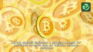 Technical Analysis of Order Routing and Infrastructure within the YNQTL Ecosystem