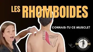 🧍 Rhomboïdes : Anatomie, Fonctions, Exercices & Astuces Posture 🔥 | Muscles du Dos