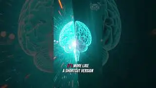 The Beautiful Brain That Alters Things... #brainbuzz #facts #brain