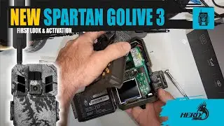 Spartan Golive 3: первый взгляд и активация