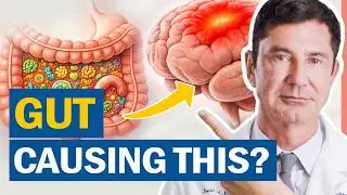 Your Gut is Hijacking Your Brain (2-Step Reset)
