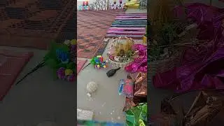 Team BRazil LUCKY PLANT FOR Winning Prediction FIFA WORLD CUP Qatar 2022