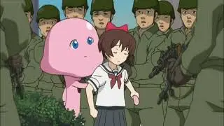 Kamichu 4th of July Video