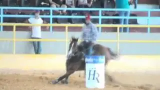 R7 Horses -  Exotic Love