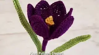 How to Crochet a Crocus Flower