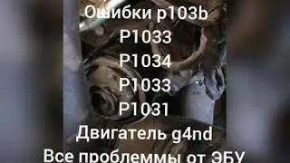 Kia optima двигатель g4nd cvvl ошибки p103b p1033 p1031 p1034