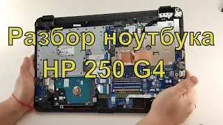 Ноутбук HP 250 G4 (HP 255) ➔ Разборка ноутбука ➔ Обзор внутренних устройств, увеличение памяти RAM