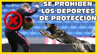 ⛔Se prohiben los deportes caninos de protecci&oacute;n (IGP)❌