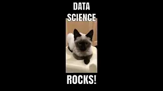RStudio -  For loops & Functions - Music Lyrics