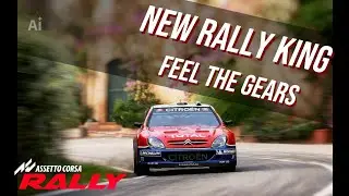 Manual love in Assetto Corsa Rally | 4-Wheel-Grip | Citroen Xsara WRC 2001 | Gold level