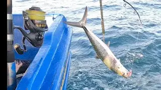 A MELHOR ISCA PRA SARDA CAVALA GUARAPARI -ES PESCARIA 