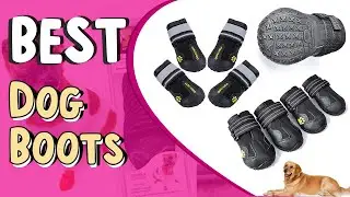 Top 5 Best Dog Boots _ Dog Boots for Hot Pavement _ Best Dog Boots for Hiking,