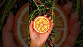 Fruit slice painting 🎨 #shorts #art #drawing #painting #easyart #artforbeginners #youtubeshorts