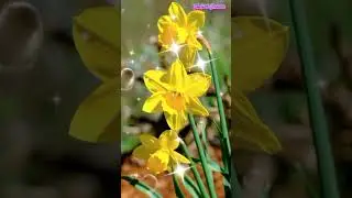 BEL&Iacute;SSIMA REFLEX&Atilde;O/ CURTA/ COMENTE/ COMPARTILHE ESTA LINDA MENSAGEM DE BOM DIA/ DEUS EST&Aacute; CONTIGO🙏❤️