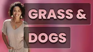 Can Eating Grass Safely Induce Vomiting in Dogs?