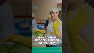 Контроль качества &mdash; основа доверия. #bananas #бананы #доставка #оптовыепоставки #экспортбананов