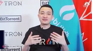 Crypto Is Not Dead.