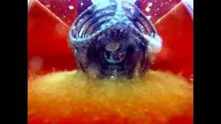 PVA dissolving in water time lapse for Ultimaker 3 gyro