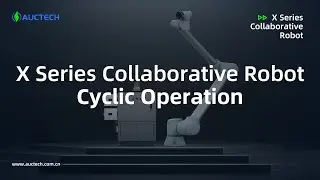 X Series Collaborative Robot Cyclic Operation