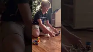 Swamp Minecraft and The Coral Reef Lego sets