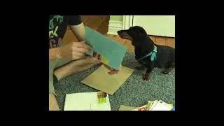 Crusoe Opens Fan Mail - Part 2