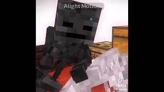 Wither x skeleton 🖤🖤🤍🤍 #minecraft #wither x skeleton #monsterschool