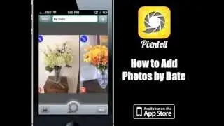 Pixntell by Date