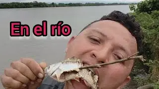 Pescando en el río Magdalena 😱😱🐟🐟