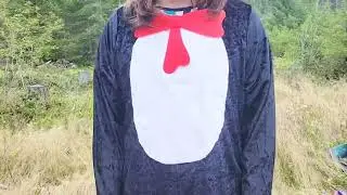 Dr  Seuss Adult Cat in the Hat Costume, A great costume for Adults!