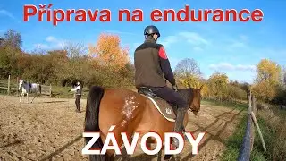 Příprava na endurance závody 🏇Trénink koní, podkovy, sedlo na koně a řidičák na vozík | VLOG