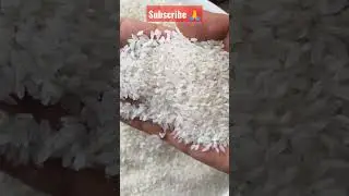 fresh Quality white Rice 5%broken #brokenrice #ricemill #indian #medium #grain