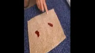 Scotchgard Carpet Protector