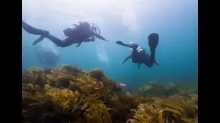 Open water course