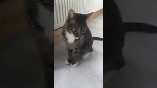 Dj lijkt bezopen.